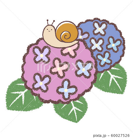 アジサイとカタツムリ 60027526