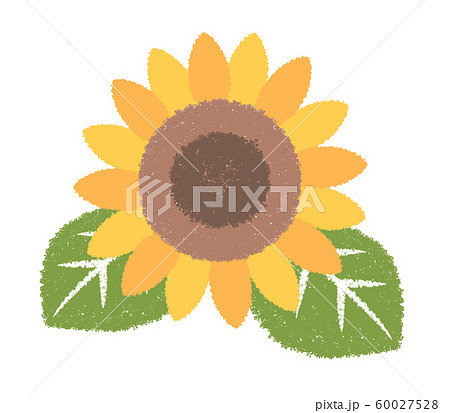 ヒマワリのイラスト素材