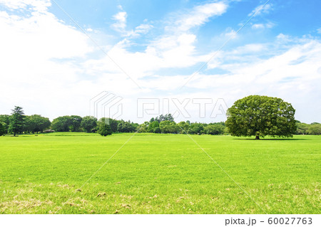 緑と青空の広がる風景 60027763