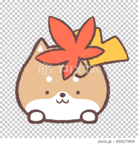 柴犬11月モミジとイチョウのイラスト素材 [60027909] - PIXTA