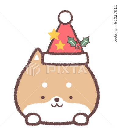 柴犬12月クリスマス帽子と星とヒイラギのイラスト素材