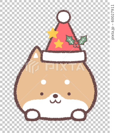 柴犬12月クリスマス帽子と星とヒイラギ 60027911