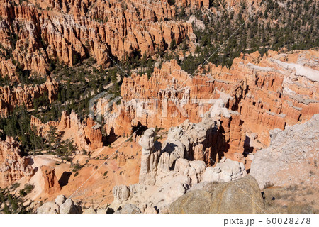 フードゥー　ブライスキャニオン国立公園　ユタ州　アメリカ合衆国 60028278
