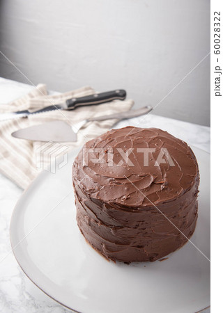 american traditional chocolate cake coated with 60028322