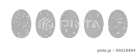Set of fingerprint or thumbprint vector Set of fingerprint or thumbprint vector 60028894