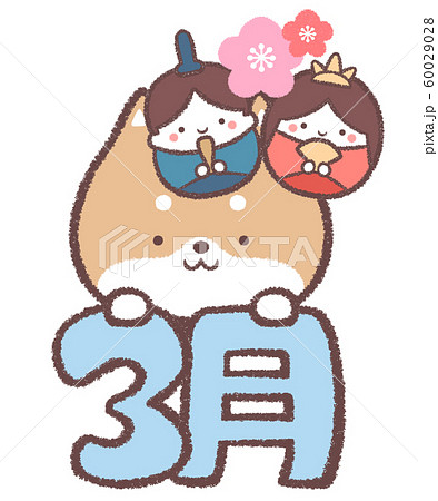 柴犬3月 柴犬3月 60029028