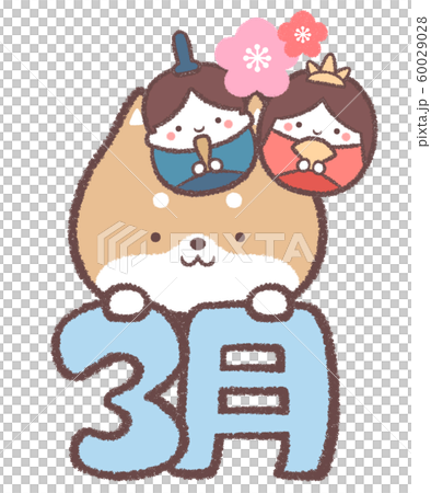 柴犬3月 柴犬3月 60029028