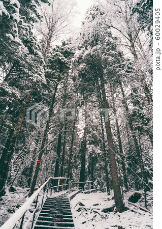 Photo of picturesque winter landscape. Photo of picturesque winter landscape. 60029405