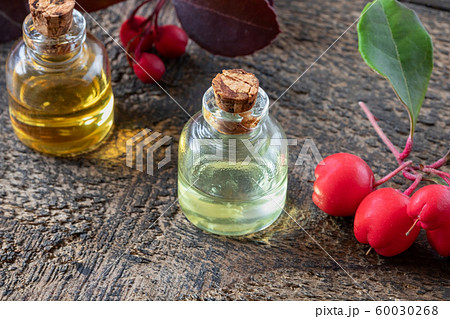 Bottles of wintergreen essential oil with wintergreen twigs 60030268