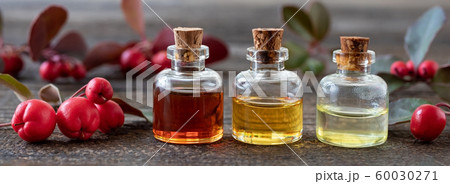 Panoramic header of essential oil bottles and wintergreen twigs 60030271