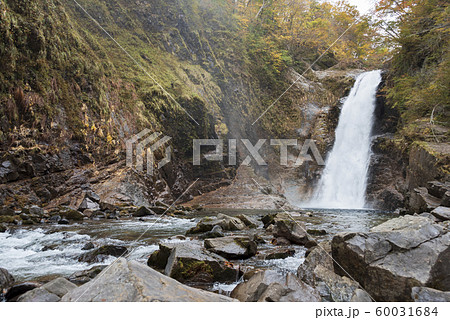 秋保大滝 秋 秋保大滝 秋 60031684