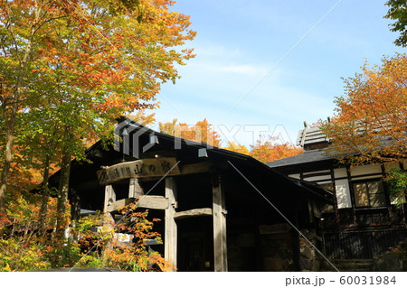 【秋田県】紅葉の乳頭温泉　鶴の湯別館 60031984