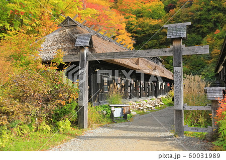 秋田県 紅葉の乳頭温泉 鶴の湯の写真素材