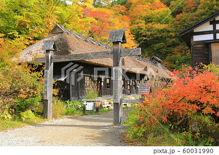 【秋田県】紅葉の乳頭温泉　鶴の湯 60031990
