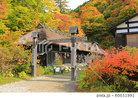 【秋田県】紅葉の乳頭温泉　鶴の湯 60031991
