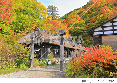 秋田県 紅葉の乳頭温泉 鶴の湯の写真素材