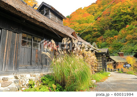 【秋田県】紅葉の乳頭温泉　鶴の湯 60031994