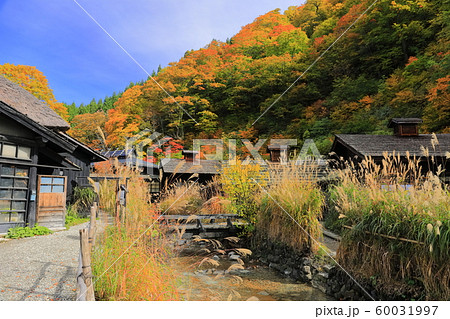 【秋田県】紅葉の乳頭温泉 鶴の湯 【秋田県】紅葉の乳頭温泉 鶴の湯 60031997