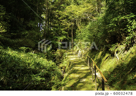 津和野 乙女峠マリア聖堂への道 島根県鹿足郡津和野町 津和野 乙女峠マリア聖堂への道 島根県鹿足郡津和野町 60032478