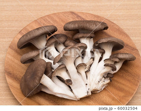 ヒラタケ 60032504