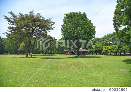 京都調布市　小金井市　三鷹市　野川公園 60032695
