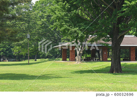 京都調布市 小金井市 三鷹市 野川公園 京都調布市 小金井市 三鷹市 野川公園 60032696