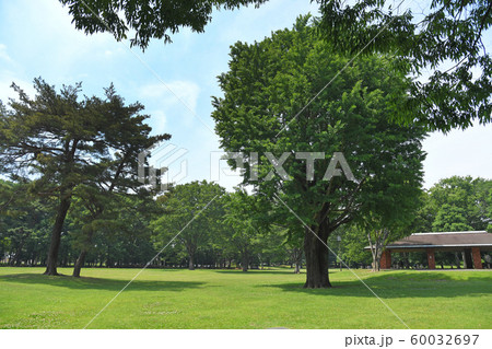 京都調布市　小金井市　三鷹市　野川公園 60032697