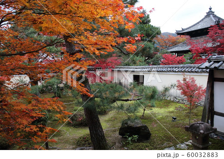 鹿王院 鹿王院 60032883
