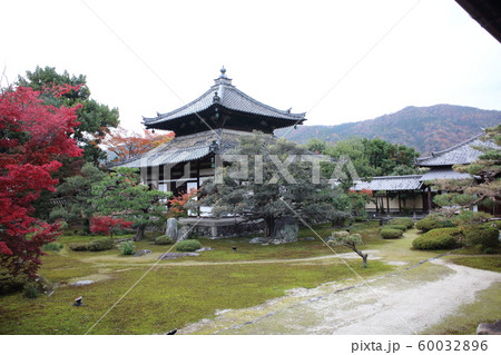鹿王院 60032896