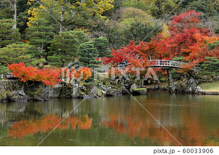 玄宮園の高橋と紅葉 玄宮園の高橋と紅葉 60033906