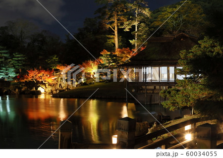 玄宮園臨池閣紅葉のライトアップ 玄宮園臨池閣紅葉のライトアップ 60034055