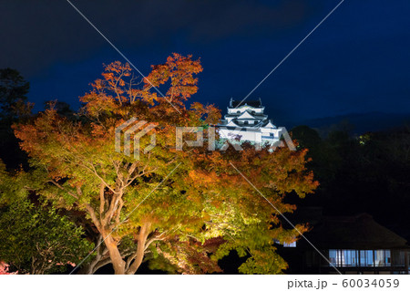 紅葉に浮かぶ彦根城 紅葉に浮かぶ彦根城 60034059