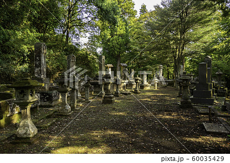 津和野　亀井家墓所　島根県鹿足郡津和野町 60035429