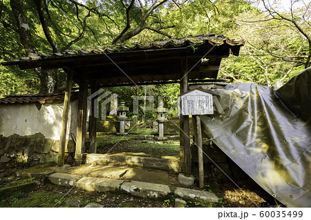 津和野 亀井家墓所 島根県鹿足郡津和野町 津和野 亀井家墓所 島根県鹿足郡津和野町 60035499