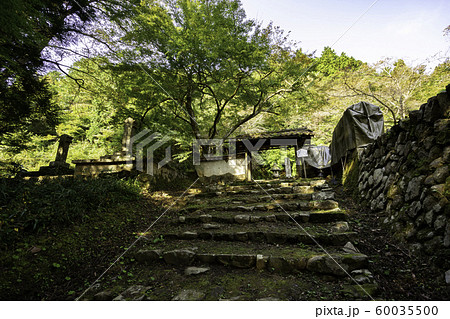 津和野 亀井家墓所 島根県鹿足郡津和野町 津和野 亀井家墓所 島根県鹿足郡津和野町 60035500