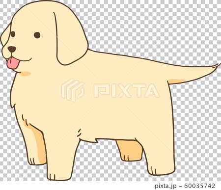 ゴールデンレトリバーの子犬 横向き立ち のイラスト素材