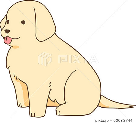 ゴールデンレトリバーの子犬 横向きおすわり のイラスト素材