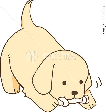 ゴールデンレトリバーの子犬 おやつガム のイラスト素材
