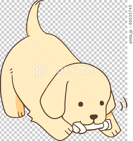 ゴールデンレトリバーの子犬 おやつガム のイラスト素材