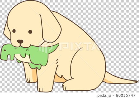 ゴールデンレトリバーの子犬（ぬいぐるみ遊び）のイラスト素材