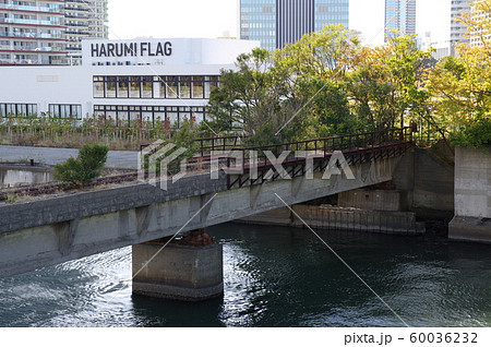 晴海橋梁 60036232