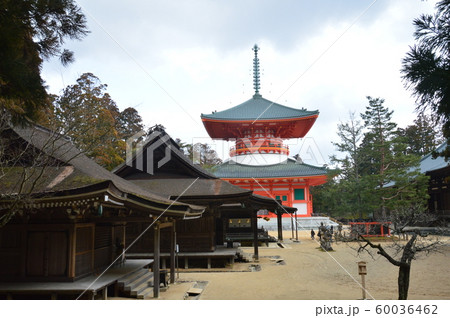 壇上伽藍の風景（高野山 金剛峯寺／和歌山県伊都郡高野町高野山） 60036462