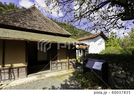 津和野　西周旧居　島根県鹿足郡津和野町 60037835