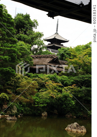 仁和寺、五重塔、重要文化財、寛永二十一年の造営、 60038341