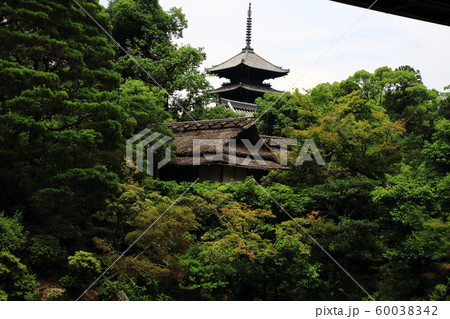 仁和寺、五重塔、重要文化財、寛永二十一年の造営 60038342