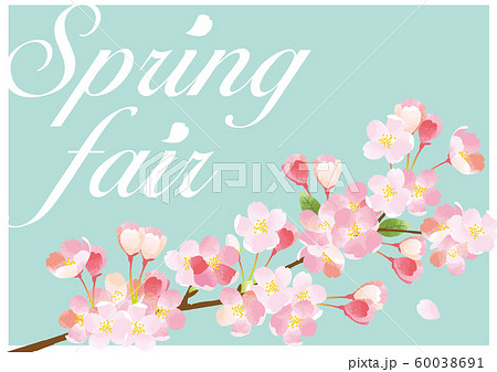 桜　スプリングフェアー　ポスター 60038691