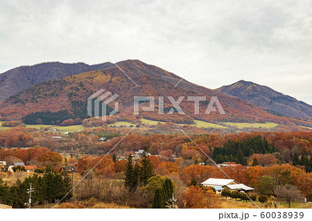 秋の風景 紅葉の蒜山高原の写真素材