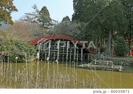 冬の丹生都比売神社 60039871