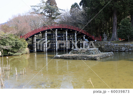 冬の丹生都比売神社 60039873
