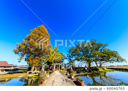 縫ノ池の秋景色　【佐賀県杵島郡白石町】 60040763